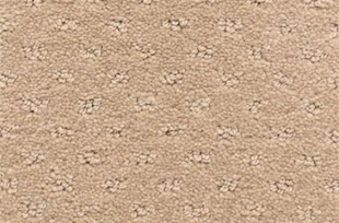 Dixie Dreamer Nylon STAIN MASTER Carpet