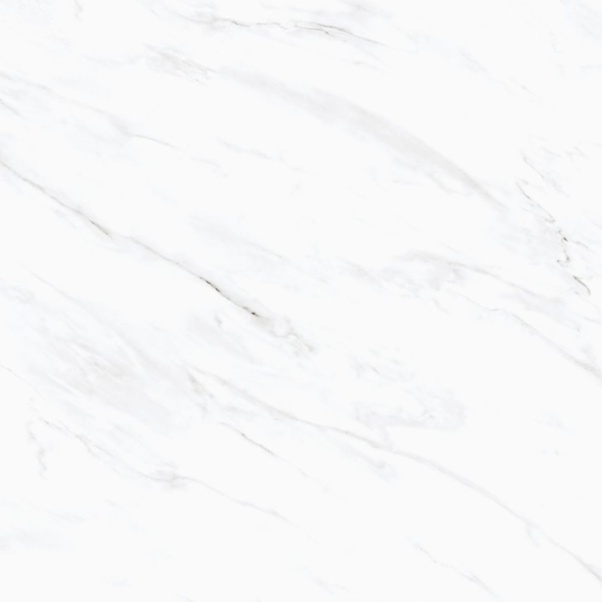 Calacatta Paonazzo 48x48