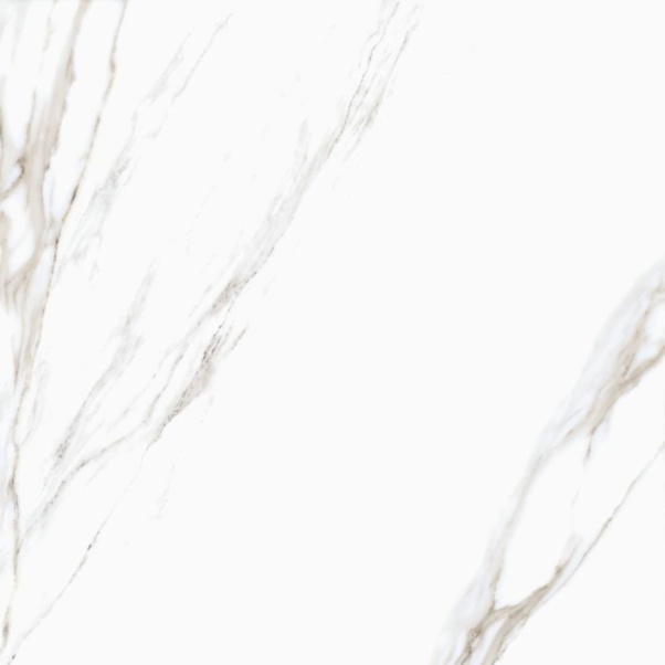 Fantastic White